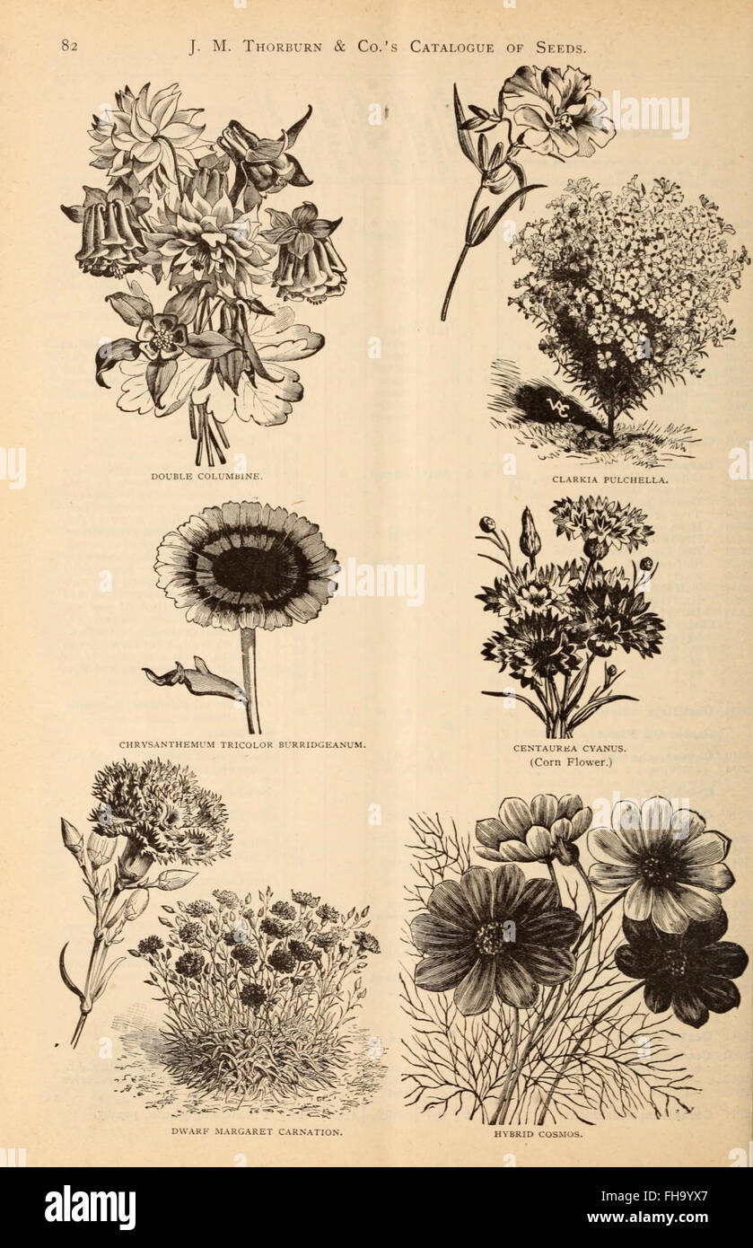 Catalogs field crops hires stock photography and images Alamy