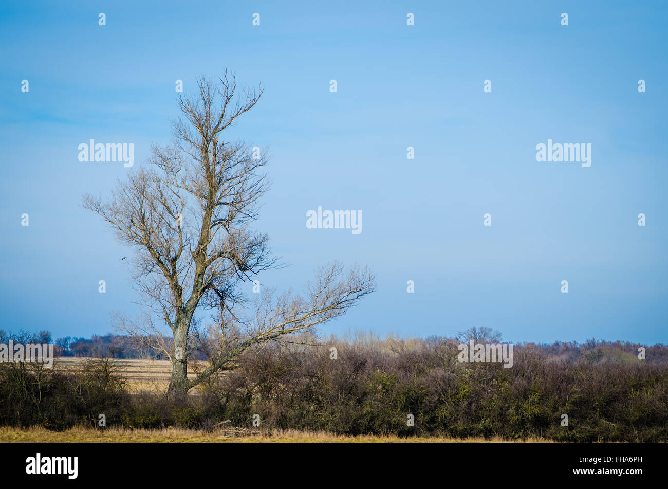 Spring Farm Sad Sad spring hi-res stock photography and images - Alamy