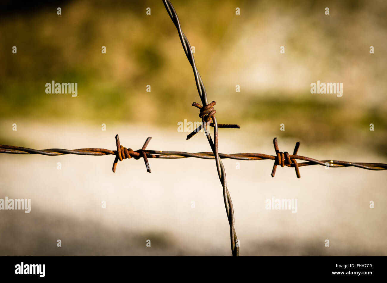 rusty steel barbed wire fence Stock Photo Alamy