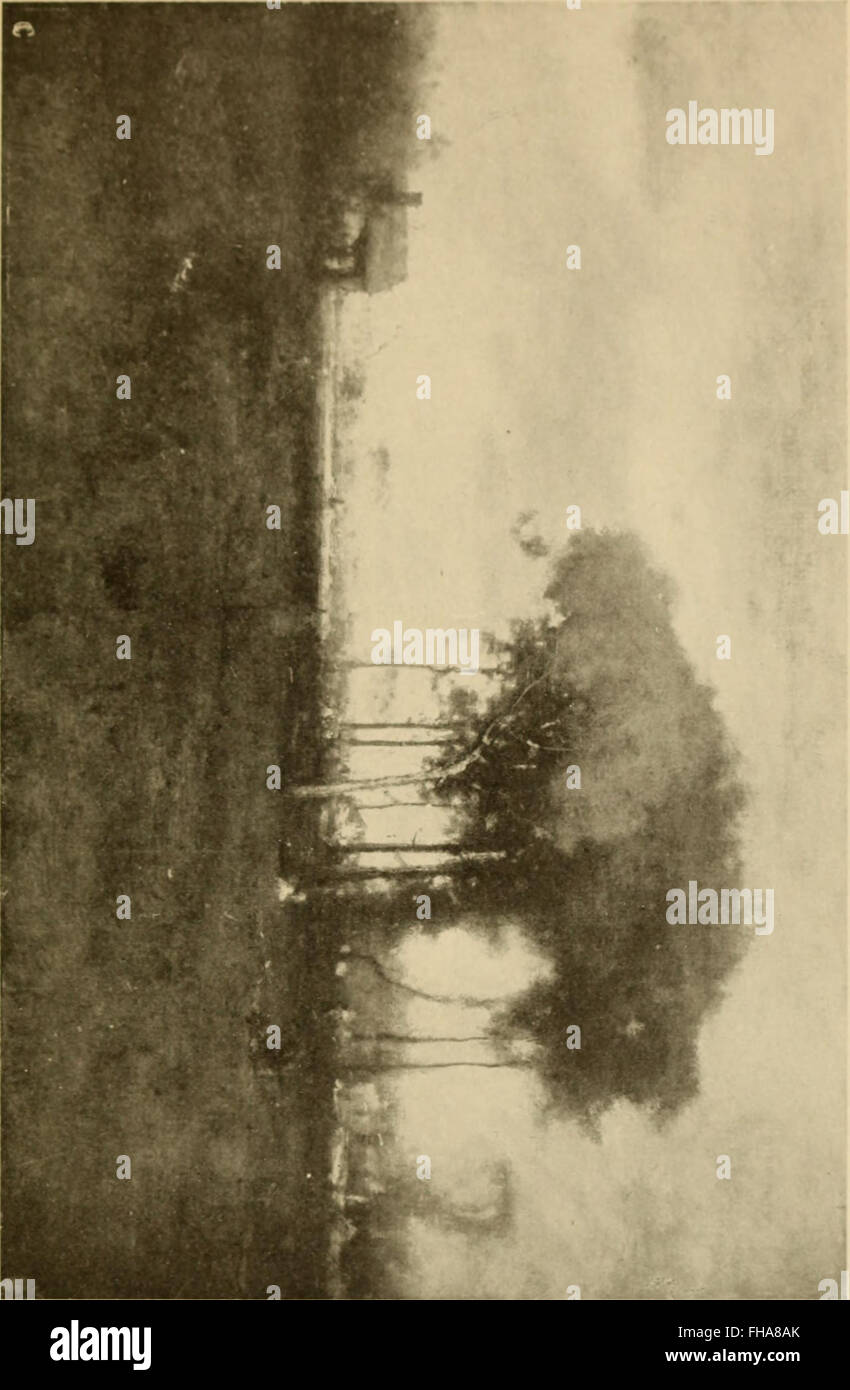 Life, art, and letters of George Inness (1917 Stock Photo - Alamy