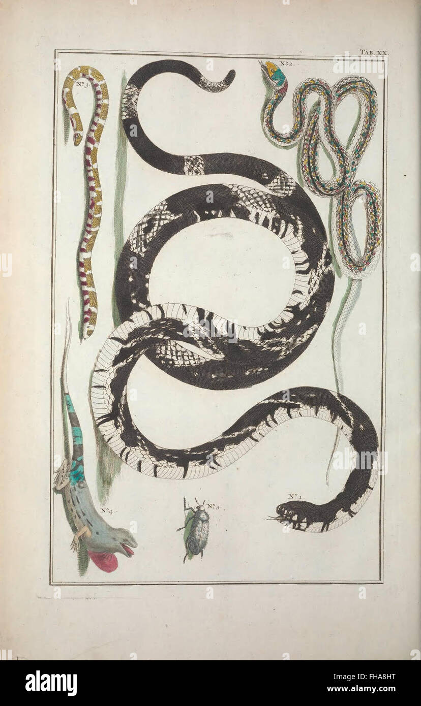 An early work on natural history and pre-Linnean scientific ...