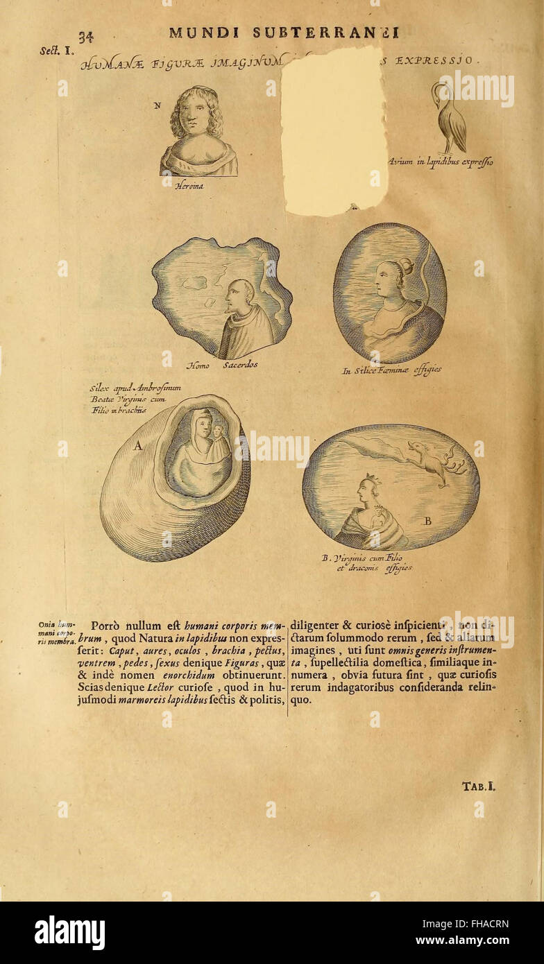 A seminal 17thcentury work on the study of the Earth's