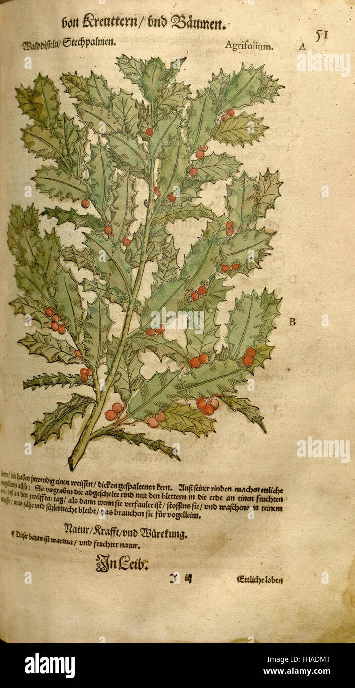Botanical work details medical hi-res stock photography and images - Alamy
