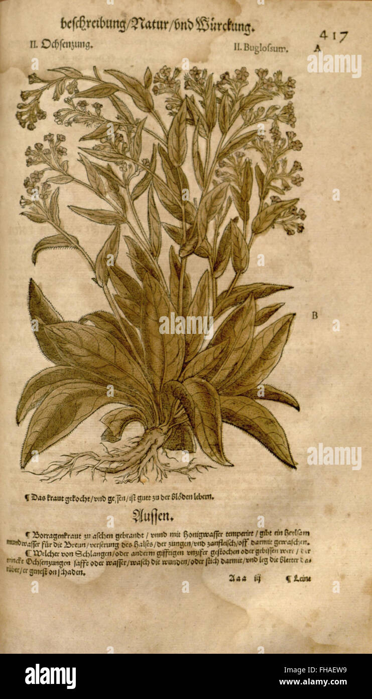 A reference book compiling botanical and medical information from early ...