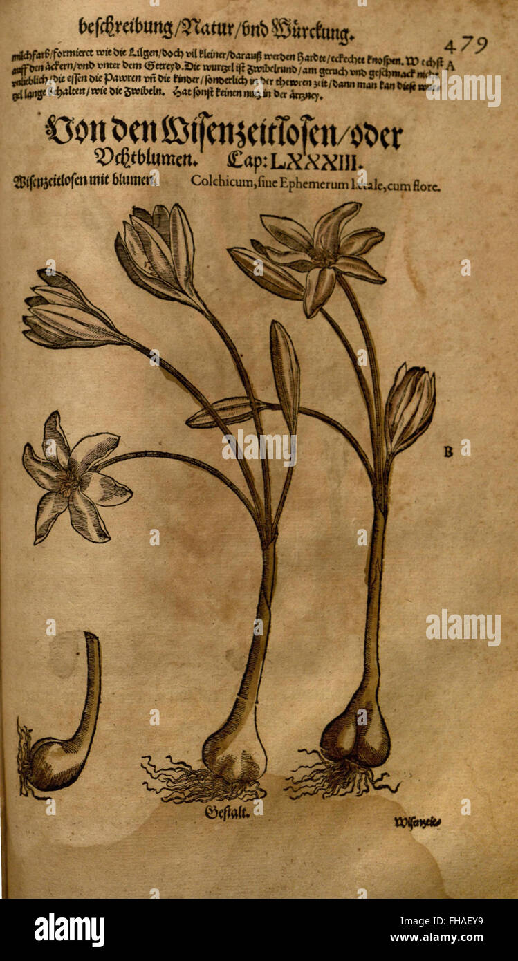 A detailed botanical and medical study on materia medica, focusing on ...