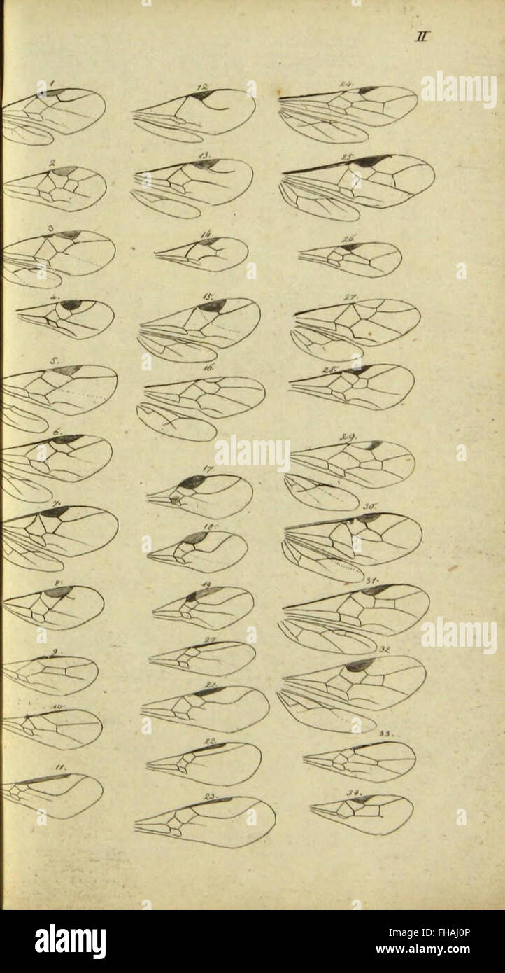 Nomenclator Entomologicus: A European entomological reference work ...