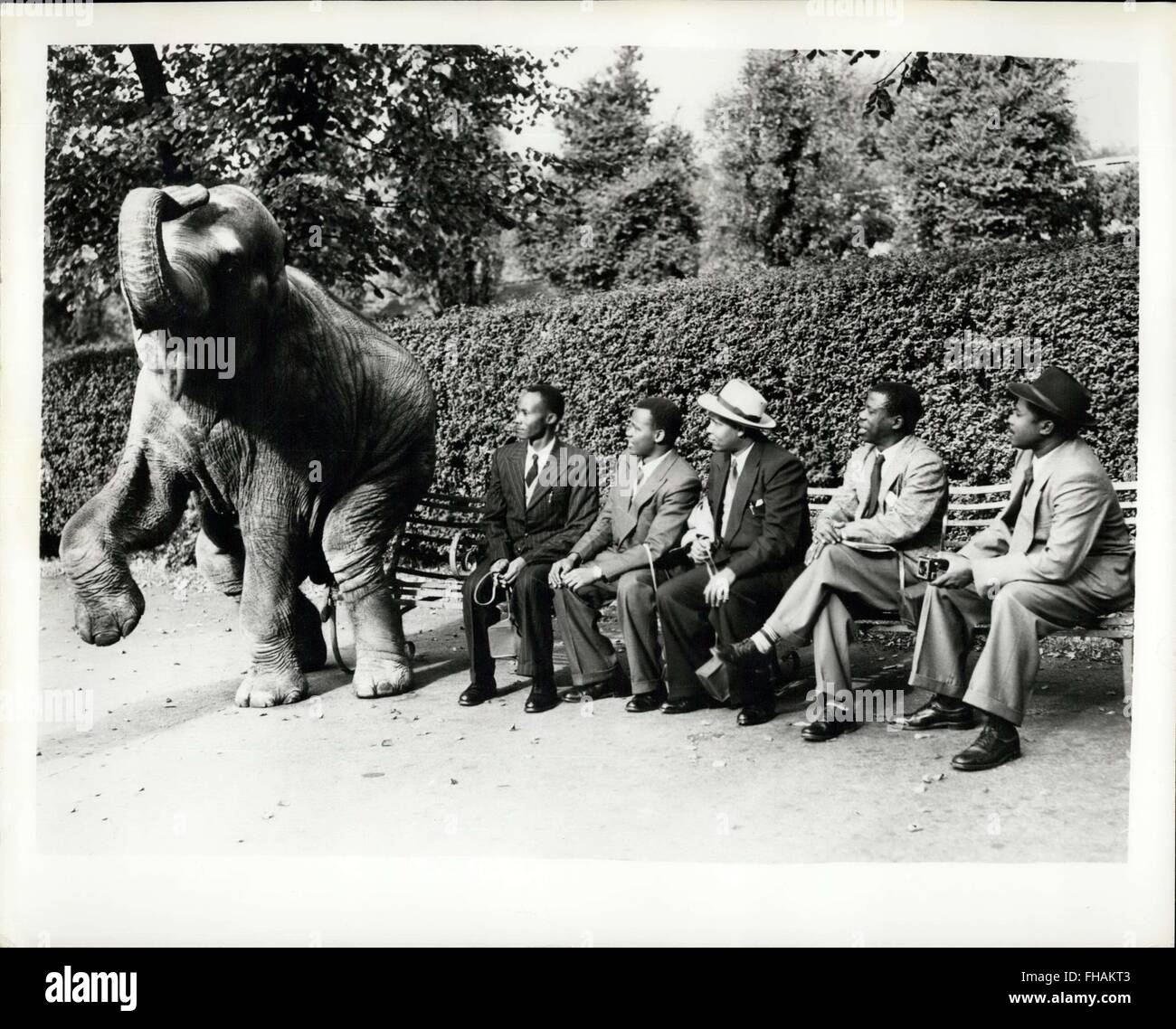 1972 - African Chiffs Visit London ''Jungle'': Five chiefs from the British African colony of Tanganyika are in Britain at the request of their government to study British methods of local government, social services and agricultural developments. Photo shows The five chiefs take time out to visit the London Zoo and Dumbo, the zoo's most popular elephant, puts on his best show for them. To make them feel at home he sat right down beside them. The chiefs are (left to right) Leukuti Sefania Sumley Mollel of Aruaha, Sylvanus Kaaya of the Meru, Amri Dodo of Gorowa, Sabu, Sulton of Mluguru, and Liw Stock Photo