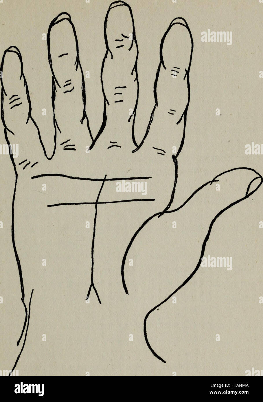 A comprehensive guide to the science of palmistry, offering a detailed ...