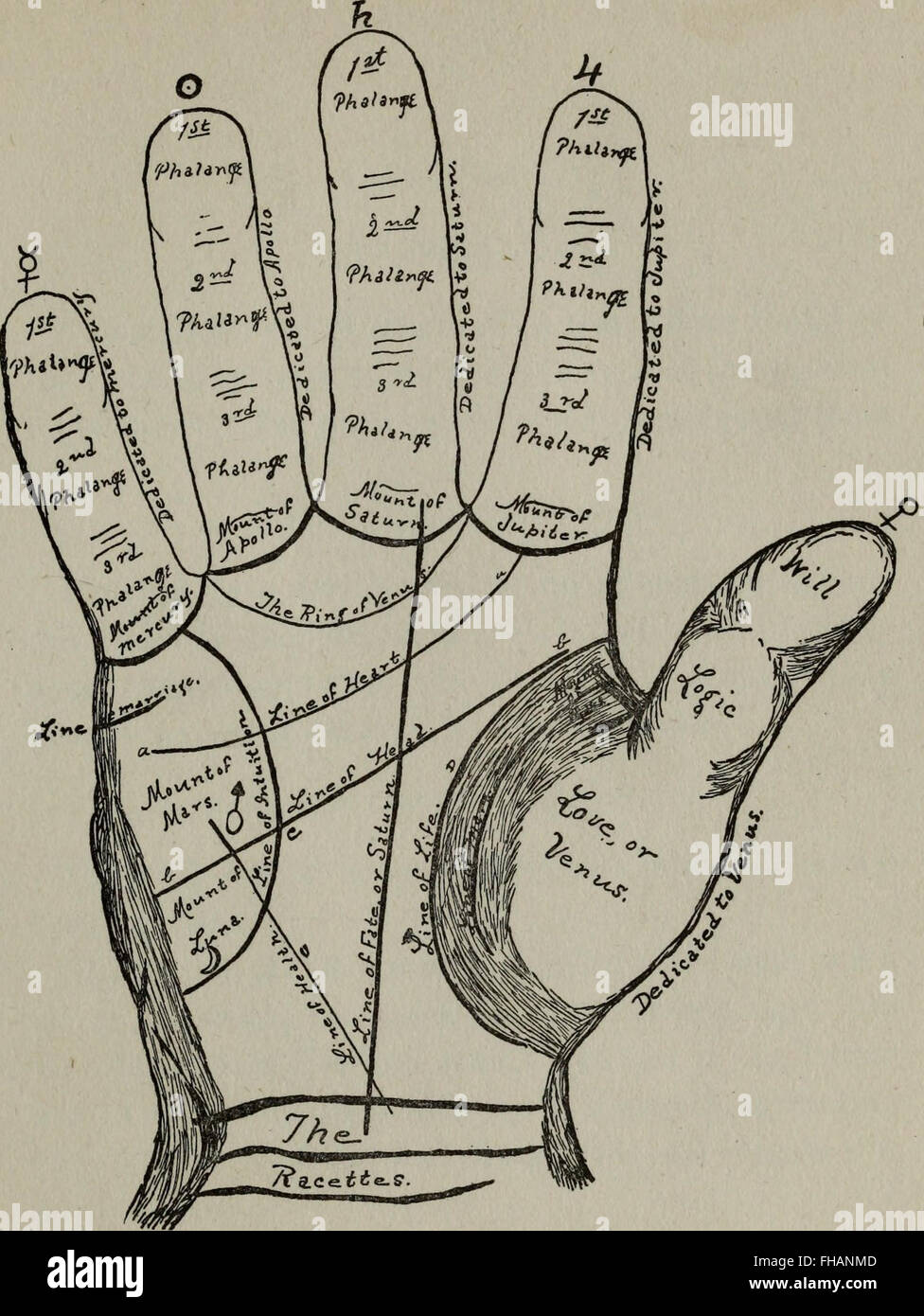 Perin's Science of Palmistry, a 1902 treatise providing a complete and ...