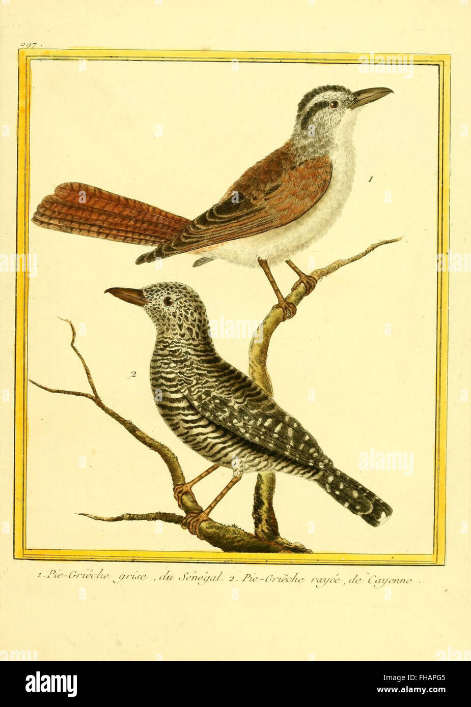 Illuminating Natural History main image 1
