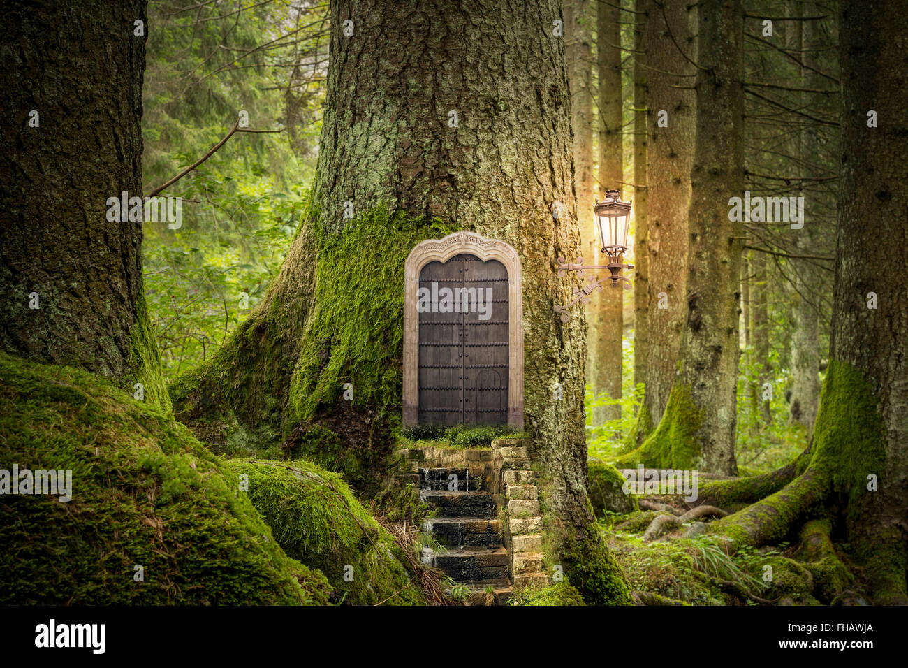 Fantasy Forest Door High Resolution Stock Photography And Images Alamy Fantasy Forest Door High Resolution Stock Photography And Images Alamy