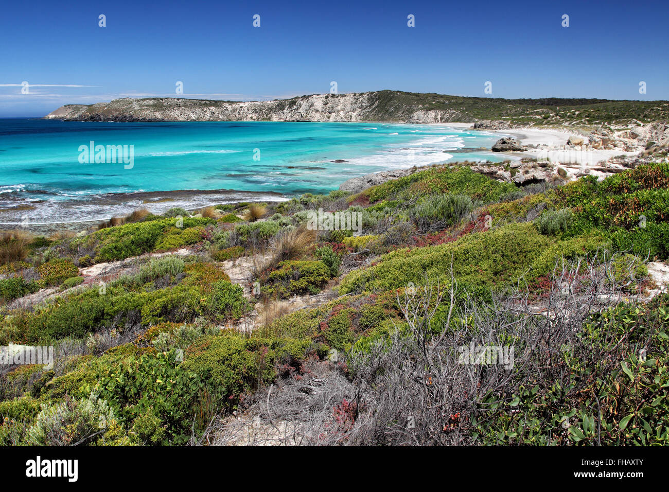 Coastal landscape in Pennington Bay on Kangaroo Island, South Australia, Australia. Stock Photo