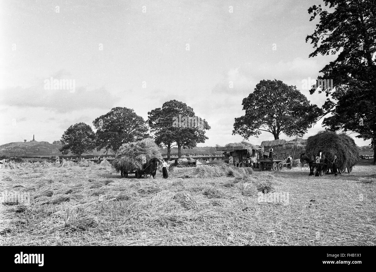Rural harvest scene making hay in summer Shropshire England Britain Uk 1950s Stock Photo