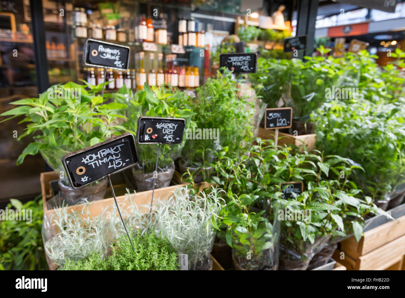 fresh herbs in pots Stock Photo Alamy