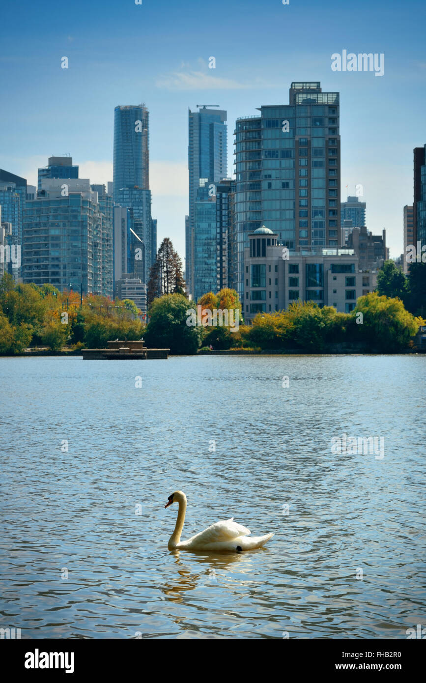 Vancouver city skyline viewed from Stanley Park Stock Photo - Alamy