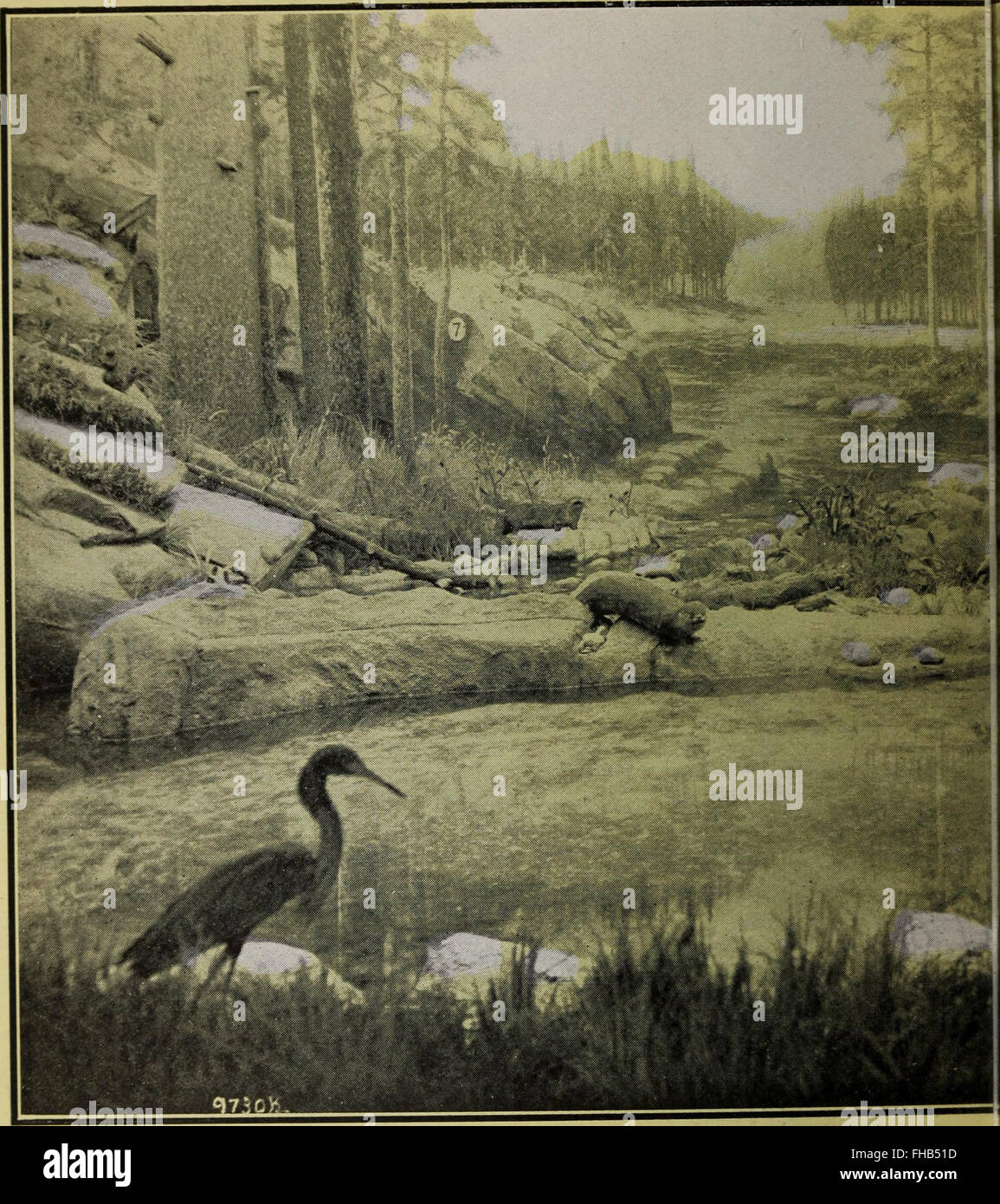 Souvenir Canadian Pavilion Panama Pacific International Exposition