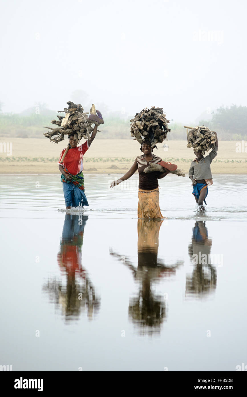 People crossing river carrying firewood on their head with reflexion on the water Stock Photo
