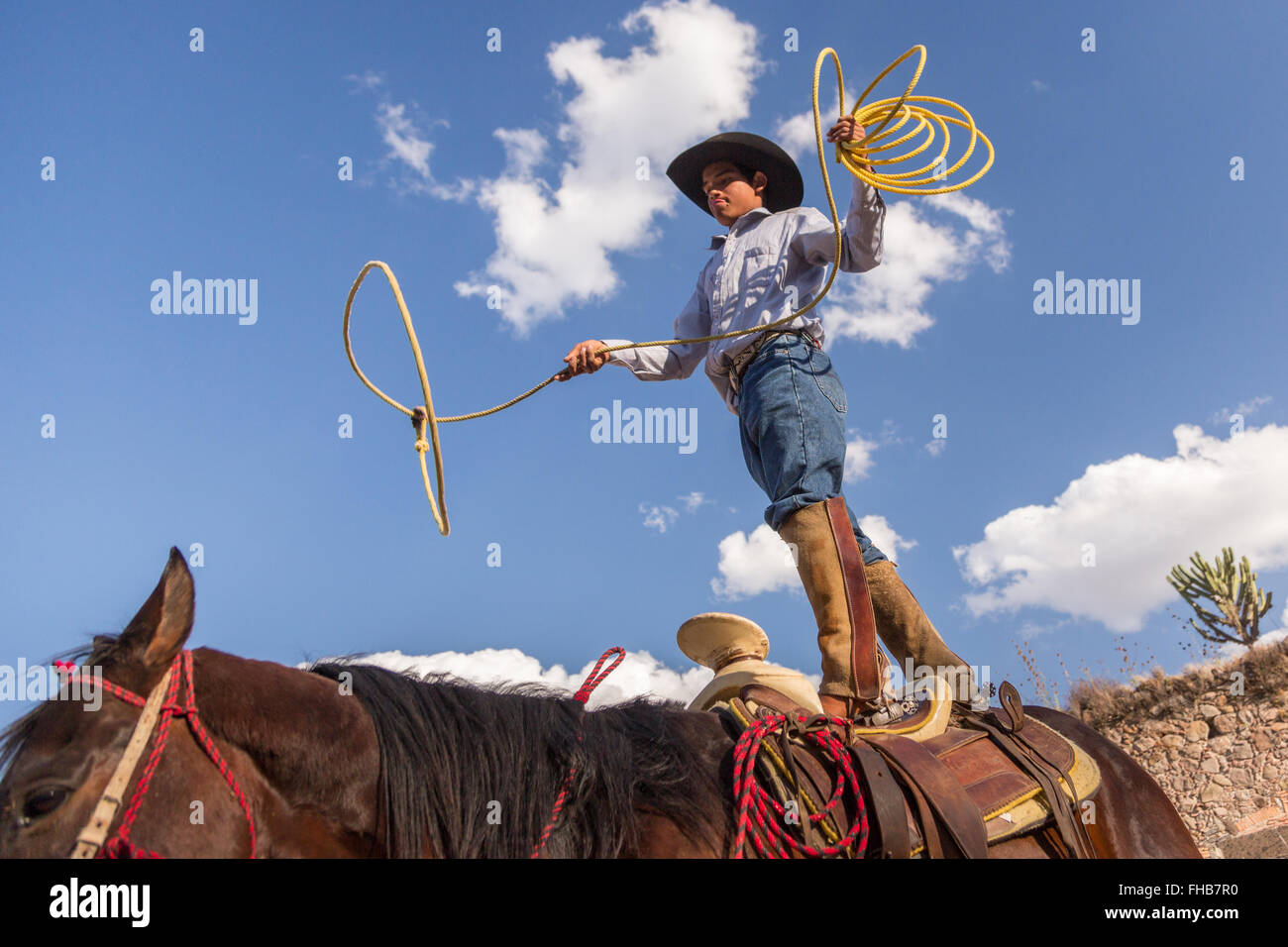 Lasso swinging hi-res stock photography and images - Alamy