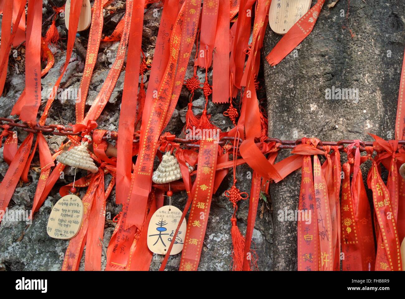 Wishing tree. Stock Photo