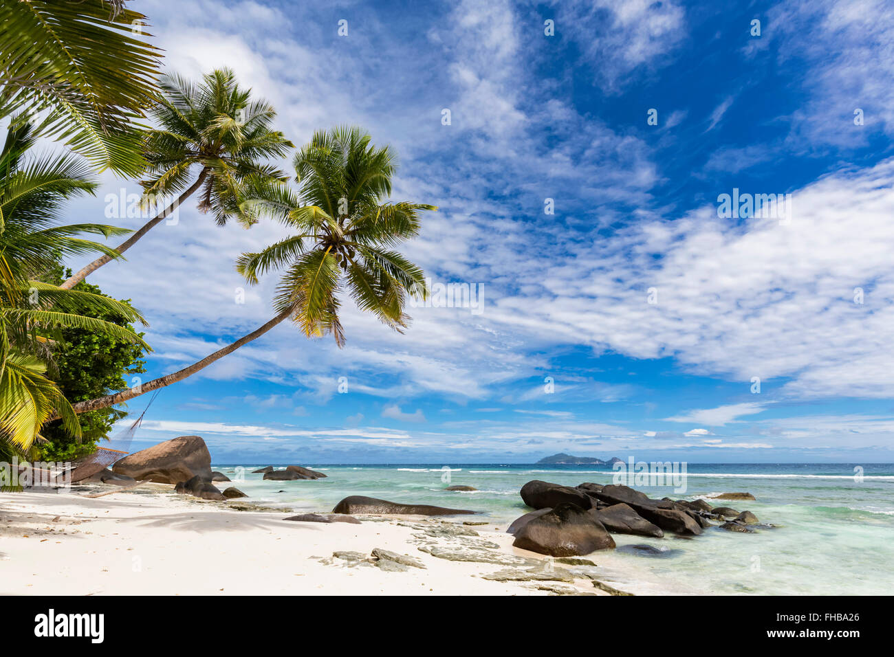 Seychelles, Silhouette Island, Beach La Passe, Presidentel Beach, palm with hammock Stock Photo