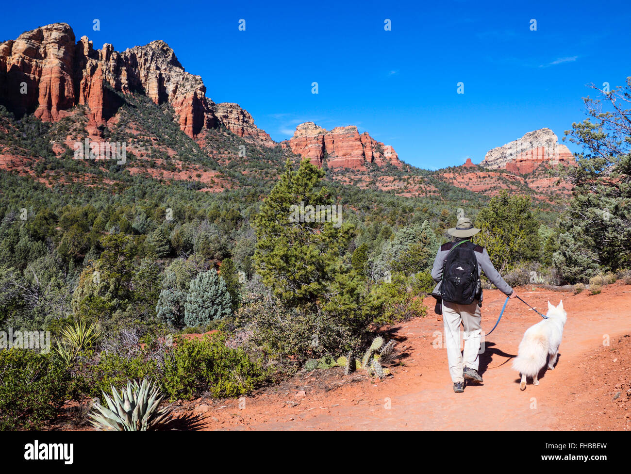 Hiker and dog on the Soldier Pass Trail in Sedona Stock Photo