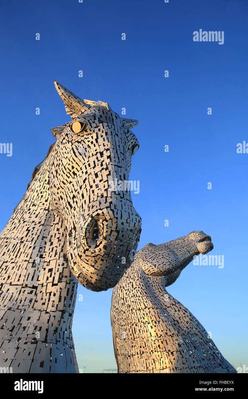 Worlds largest horse hires stock photography and images Alamy