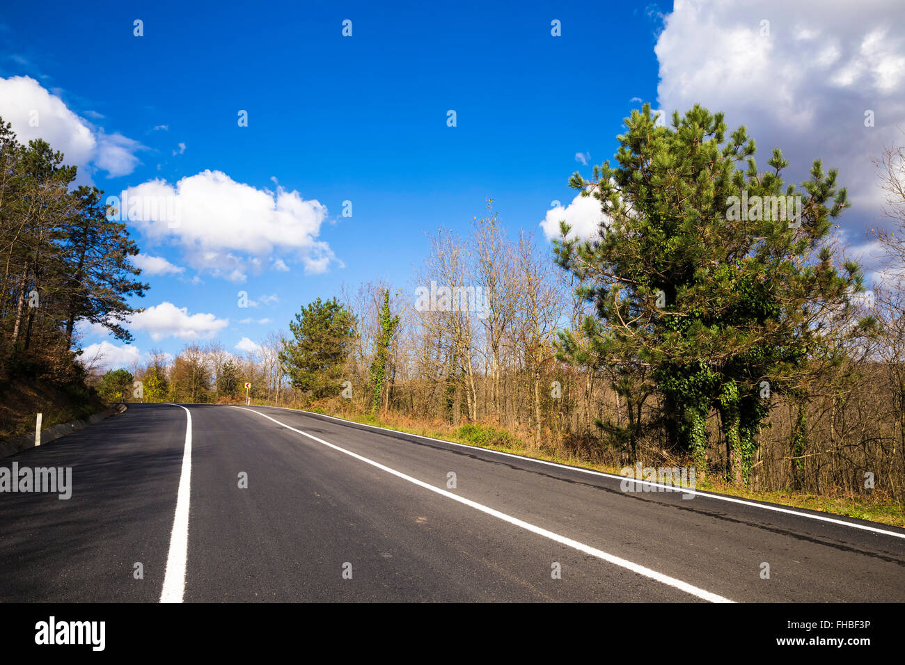 Empty rural asphalt road in Istanbul boreal forests during spring Stock Photo