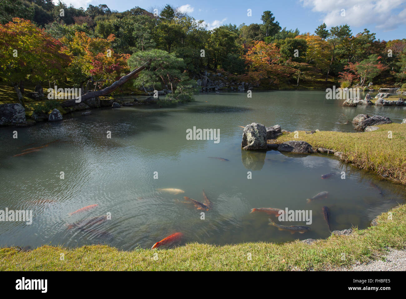 garden at Tenryū-ji temple in Kyoto Japan Stock Photo