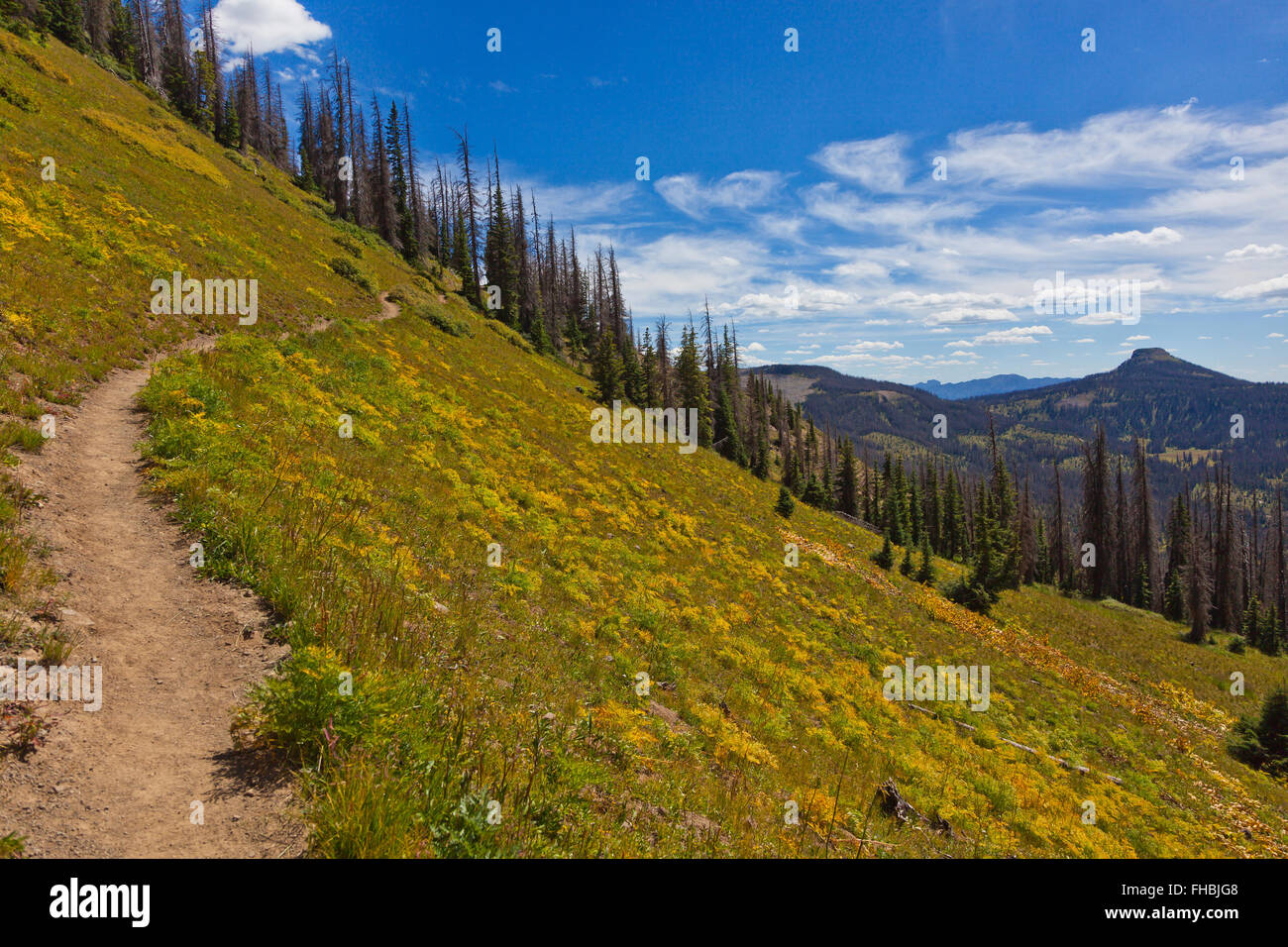 The trail near LOBO POINT, elevation 7060 feet, on the Continental