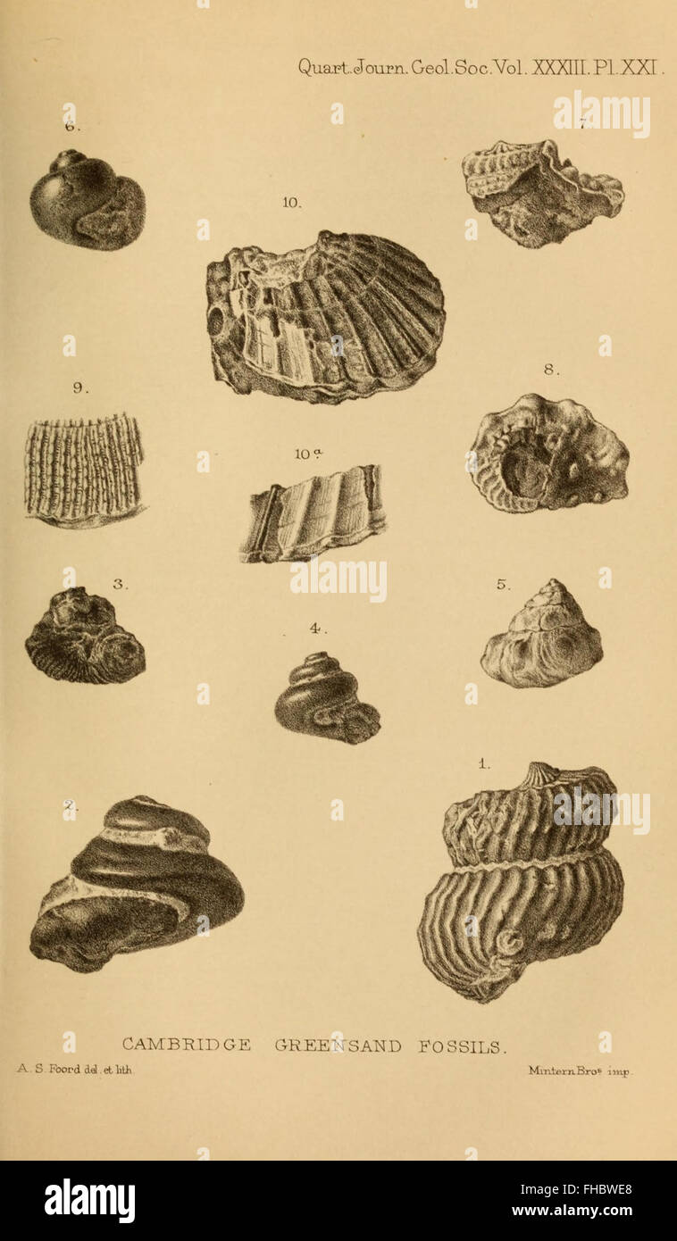 This periodical, published by the Geological Society of London ...