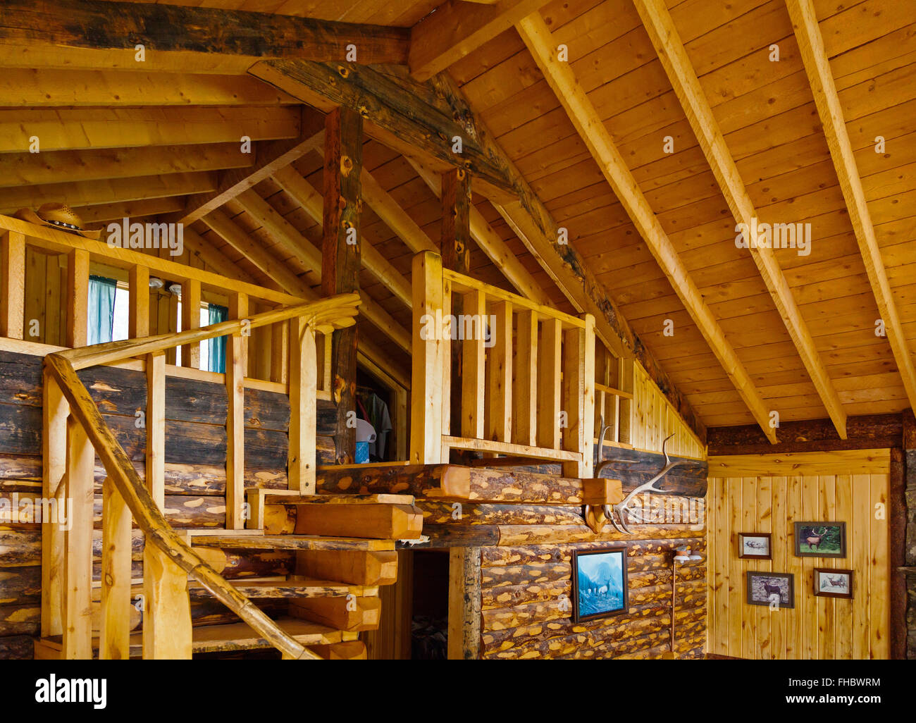 VACATIONERS enjoy a rustic yet comfortable cabin at OLEO RANCH at 10500 feet - SOUTHERN COLORADO MR Stock Photo