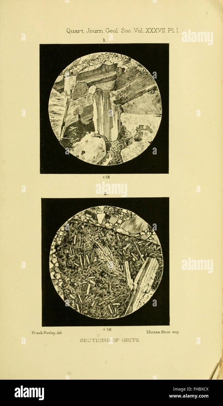 A geological journal published by the Geological Society of London ...