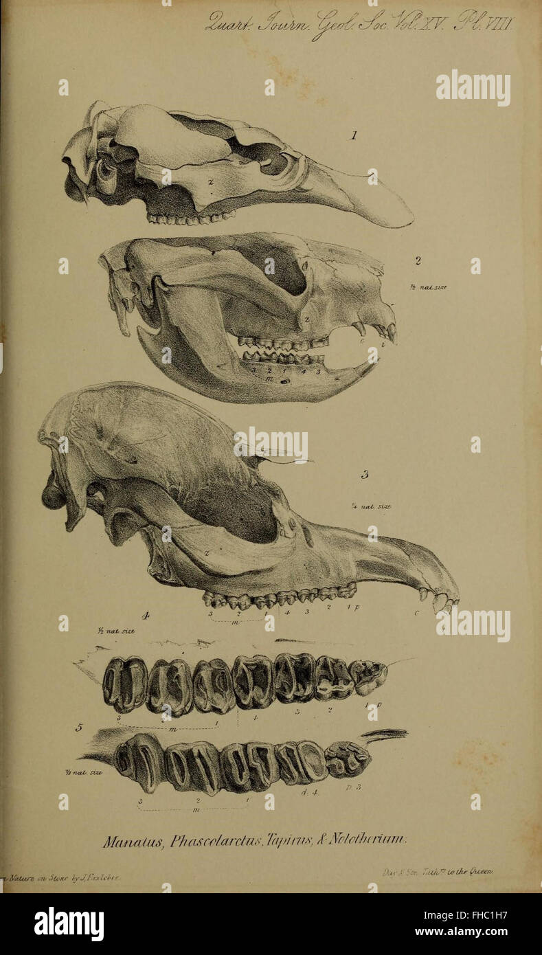 A Scientific Journal Featuring Geological Research Including Studies