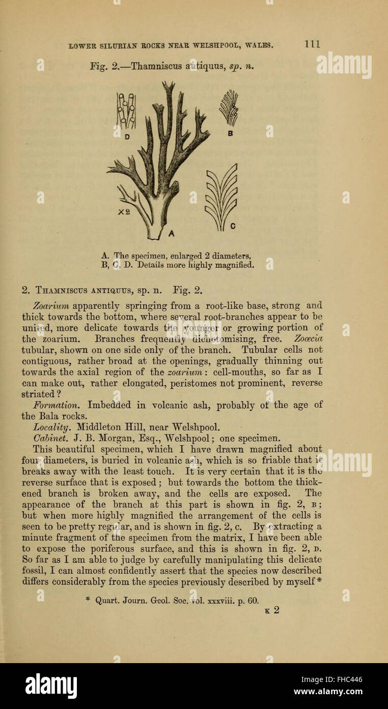 A scientific journal from the Geological Society of London, focused on ...