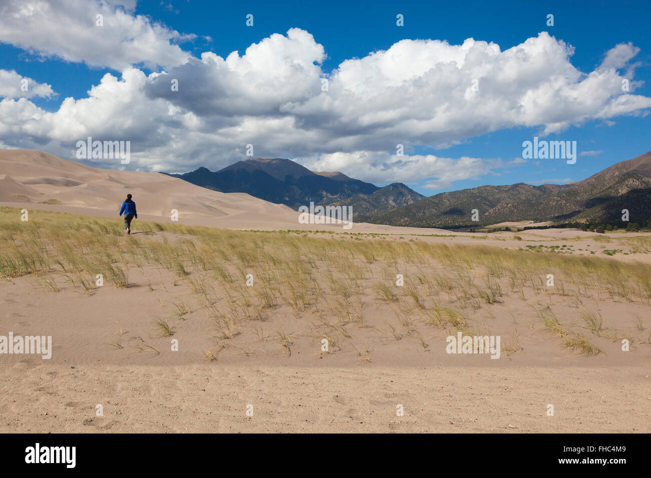 Visitor hikes in GREAT SAND DUNES NATIONAL PARK which contains the