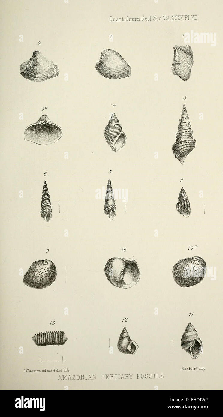 A quarterly geological journal detailing recent research in earth ...