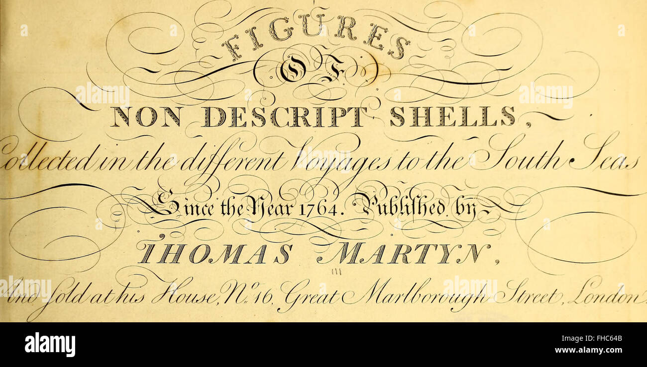 A 1789 work illustrating various shells, offering detailed, accurate ...