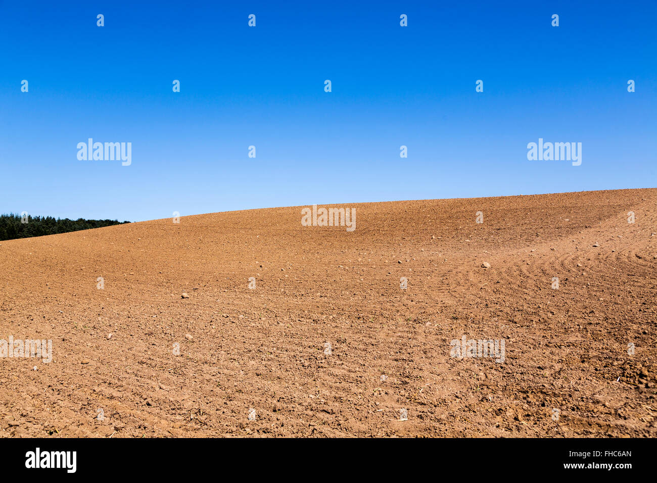 landscape with plowed field and blue sky Stock Photo - Alamy