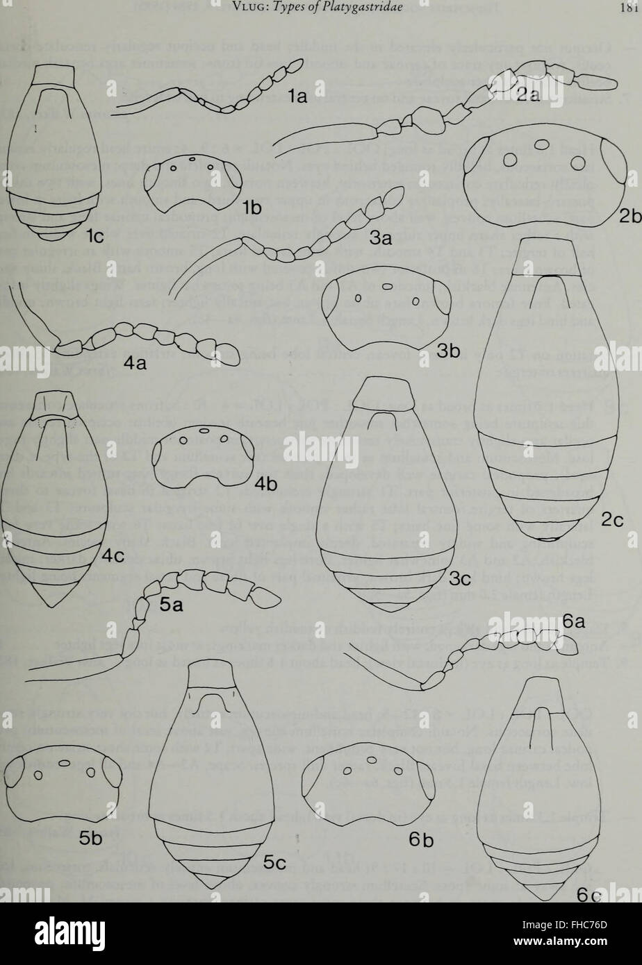 A scientific journal on entomology published in 1984, featuring ...