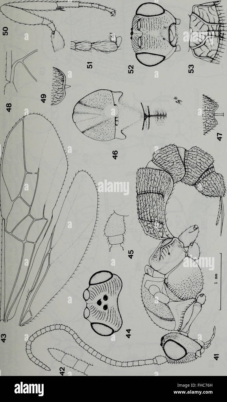 Insect Journal A 1984 issue of *Tijdschrift voor Entomologie*, a journal dedicated to ...