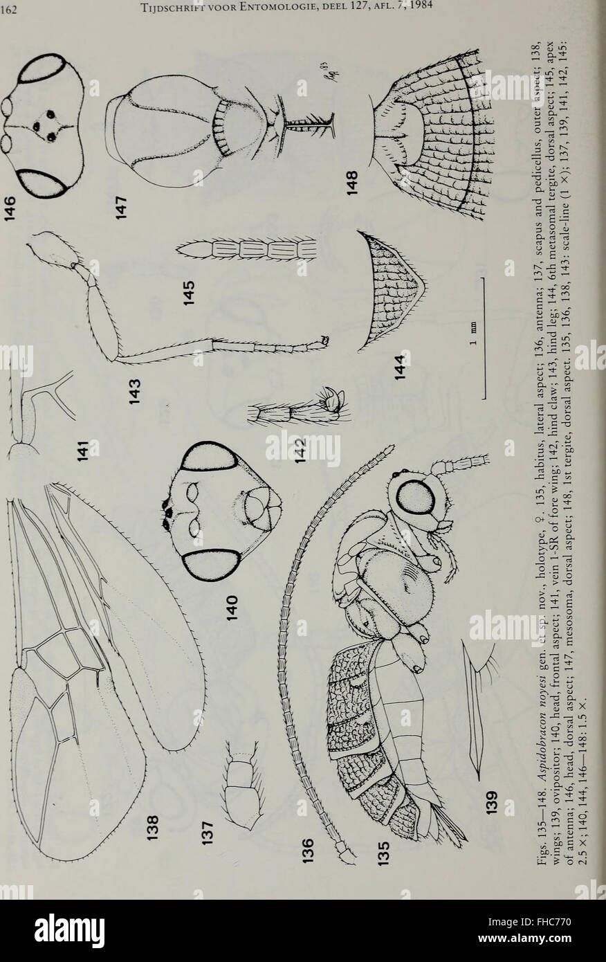 Insect Journal A journal from 1984 focused on entomological studies, detailing ...