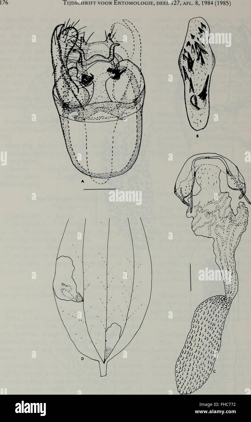 Insect Journal A Dutch journal from 1984, focusing on entomological research ...