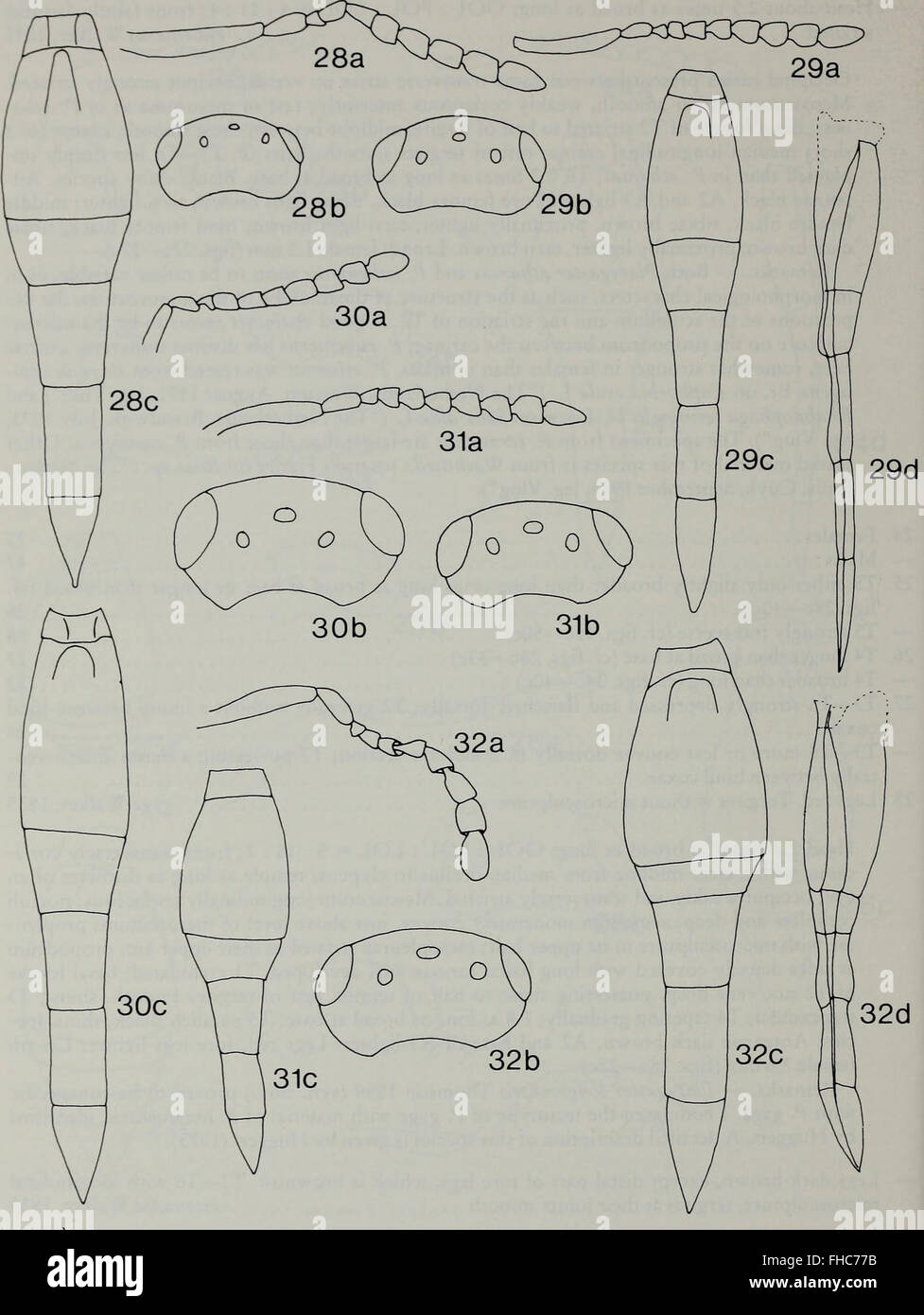 Insect Journal Tijdschrift voor Entomologie (1984), a scientific journal focusing on ...