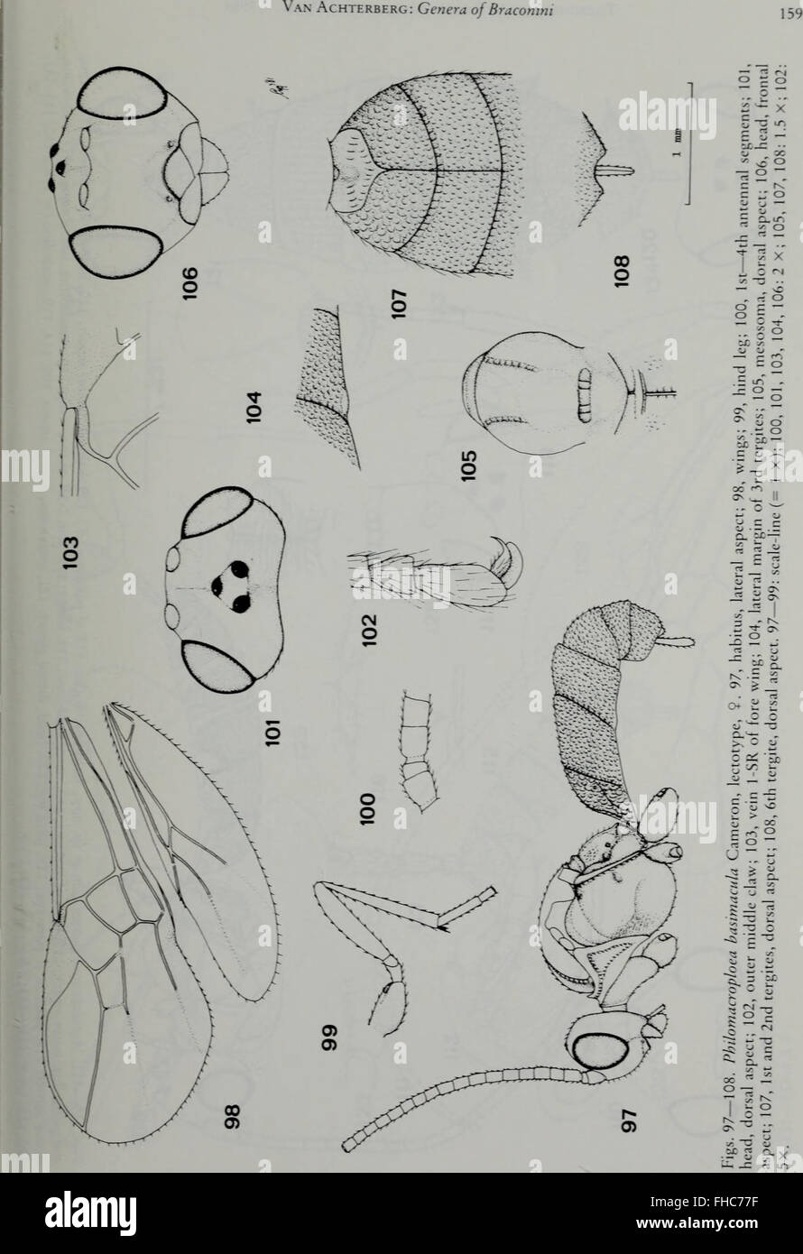 Insect Journal ‘Tijdschrift voor Entomologie’ is a journal dedicated to entomological ...