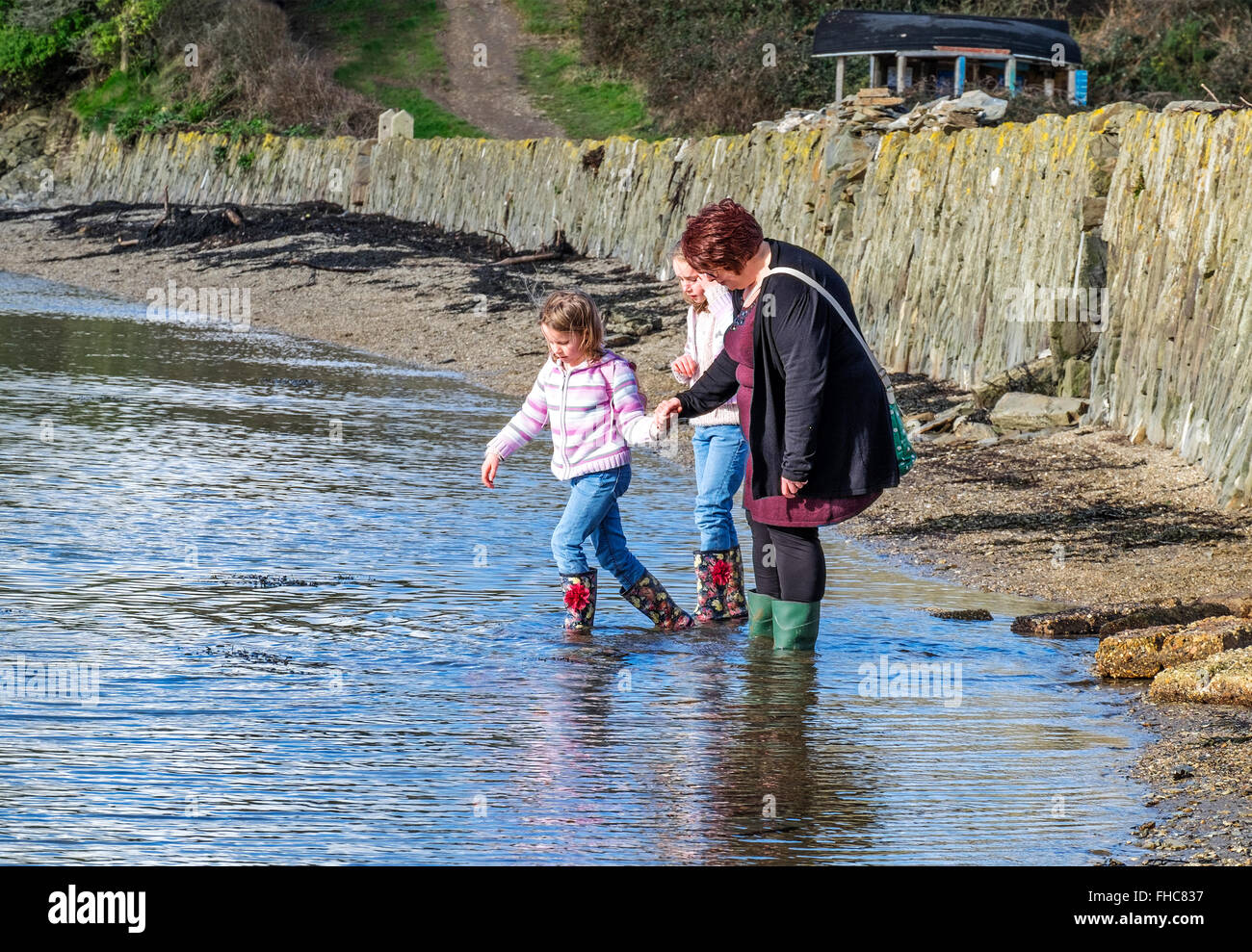 A mother and daughters paddling by the coast in cornwall, uk Stock Photo