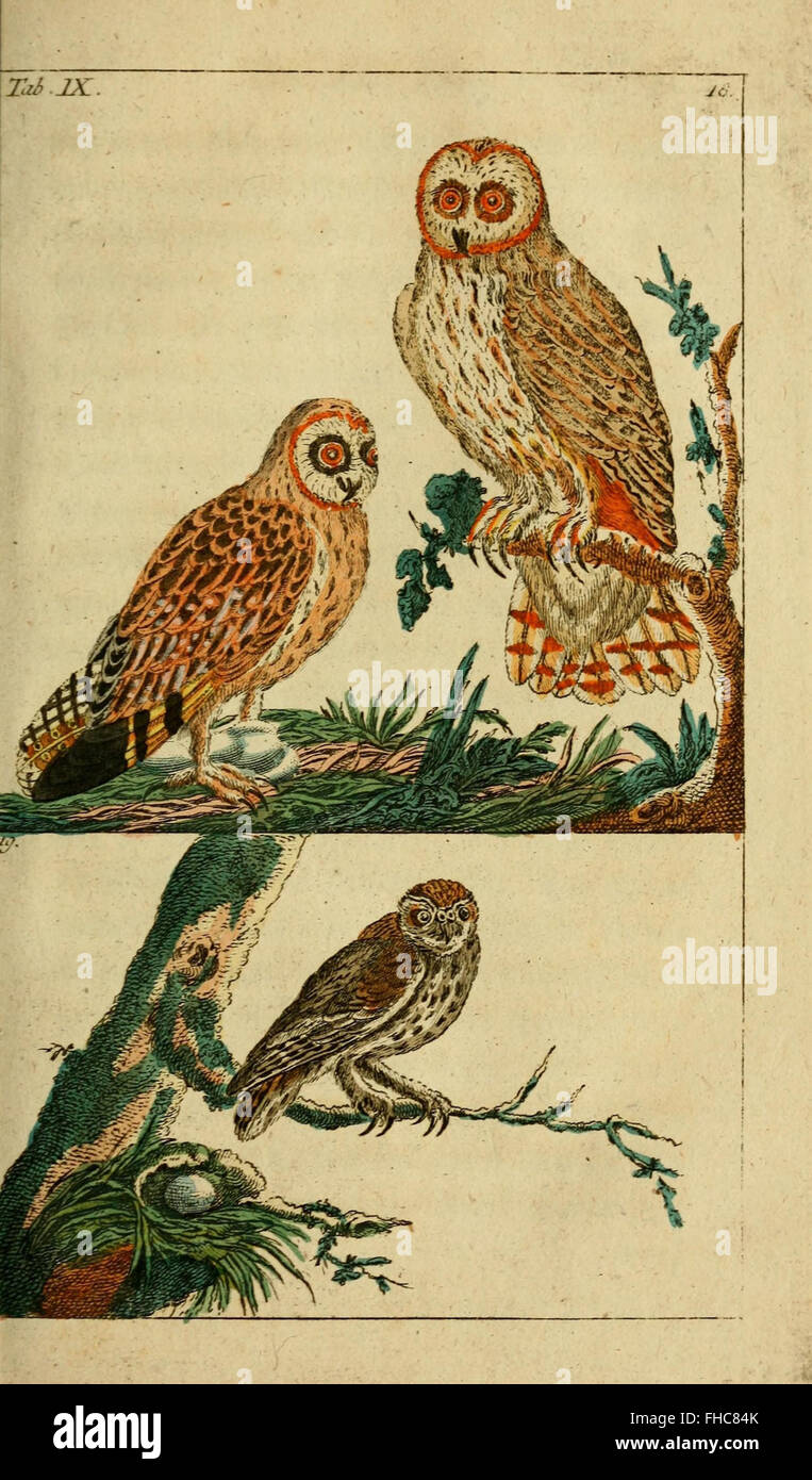 A German work from the early 19th century discussing natural history ...