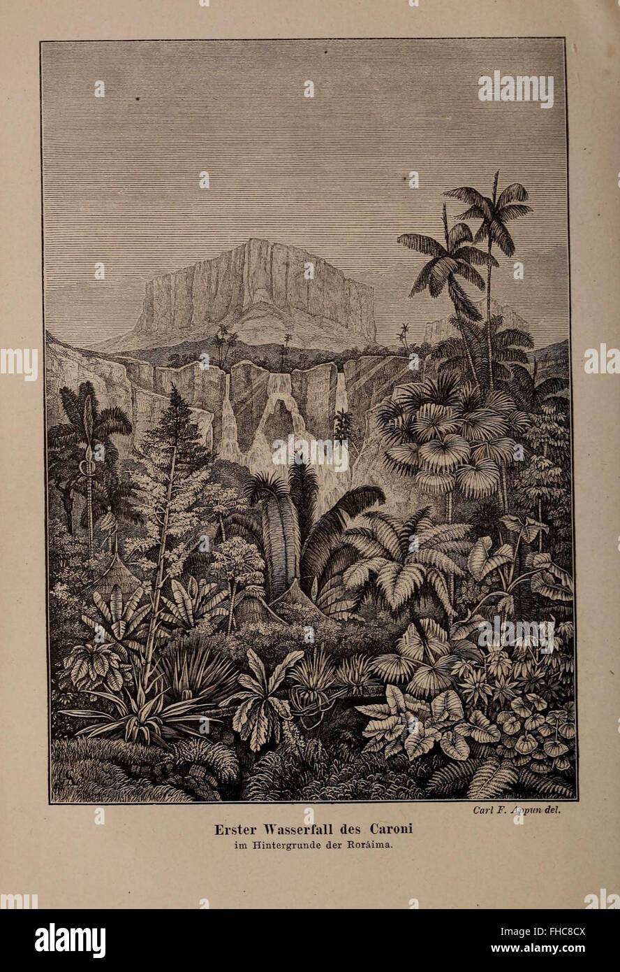 Harvard University Botany Libraries Stock Photo - Alamy