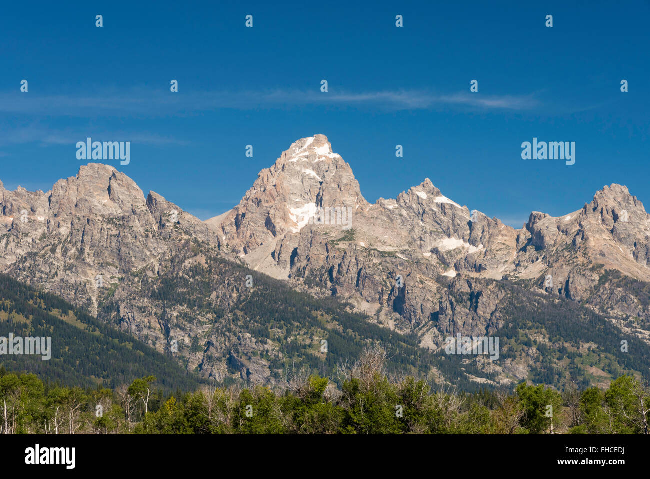 Majestic Teton mountains under blue sky with green forest below Stock ...