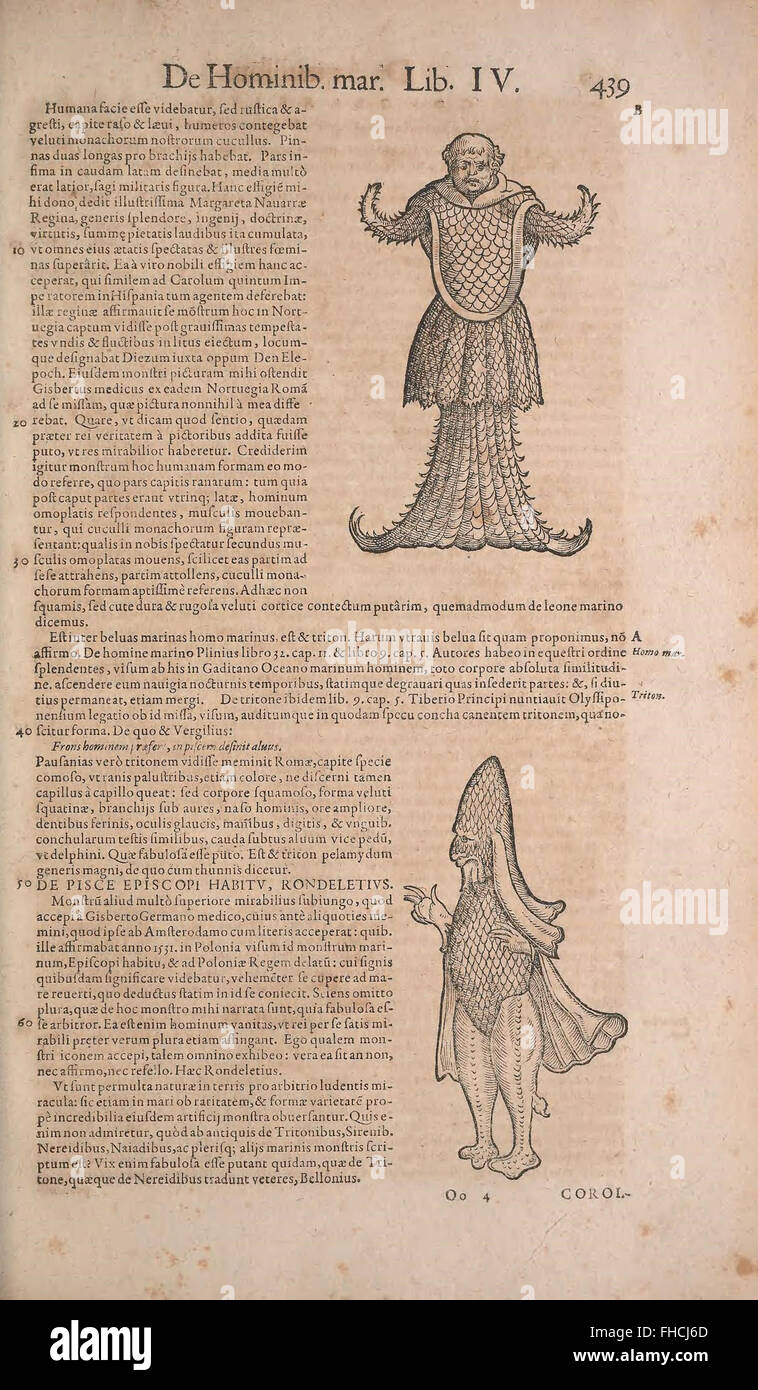 An early zoological work by Conrad Gesner, illustrating and describing ...