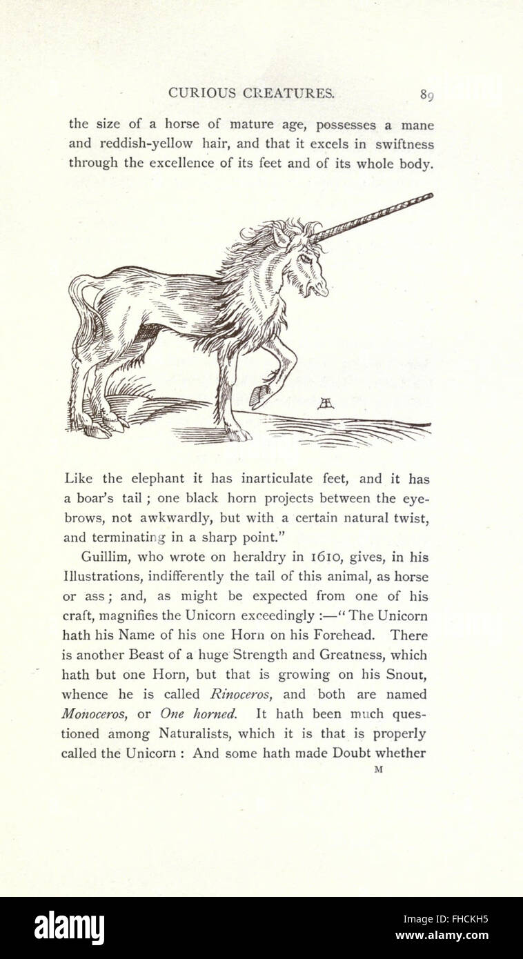 Study of unique and lesser-known animal species, explored through ...